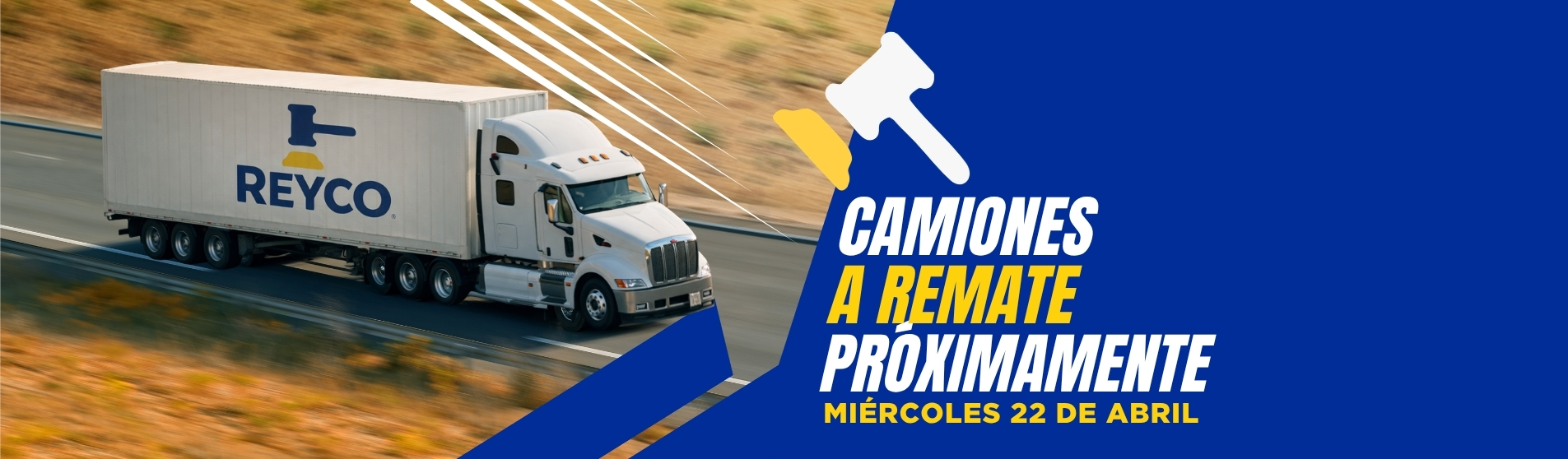 Descripción